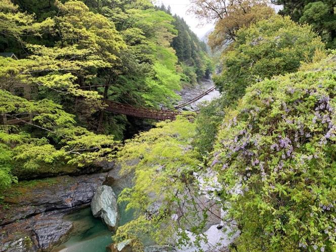 Iya Kankou Ryokan Miyoshi (Tokushima) Exterior foto